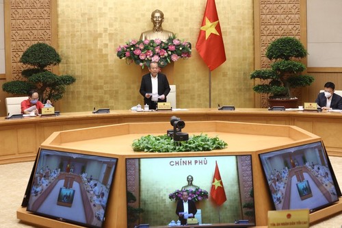 Phó Thủ tướng Trương Hòa Bình: Bám sát nhiệm vụ đã được Thủ tướng Chính phủ giao - ảnh 1