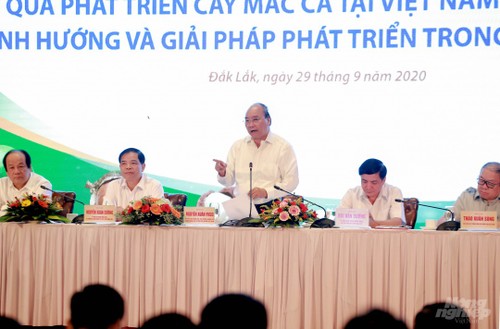  Thủ tướng Nguyễn Xuân Phúc dự Hội nghị bàn giải pháp phát triển cây mắc ca - ảnh 1