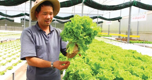 Cơ hội cho nông sản Việt Nam vào châu Âu sau khi EVFTA có hiệu lực - ảnh 1