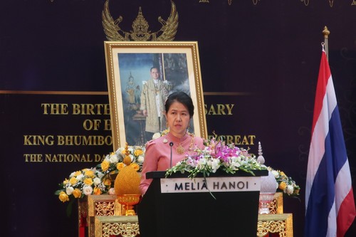 Kỷ niệm 93 năm quốc khánh Thái Lan - ảnh 1