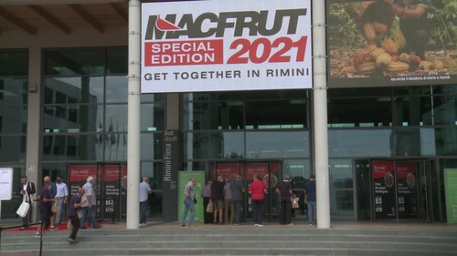 Trái cây Việt Nam lần đầu ra mắt tại Hội chợ Macfrut 2021 - ảnh 1