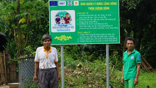 Đánh giá chứng chỉ rừng FSC lần đầu tiên đối với rừng cộng đồng ở Việt Nam - ảnh 5