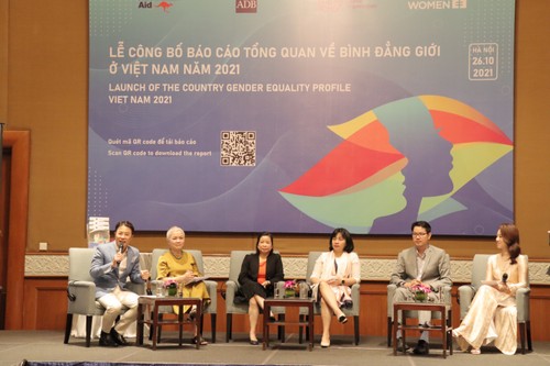 Báo cáo tổng quan về Bình đẳng giới ở Việt Nam năm 2021 - ảnh 3