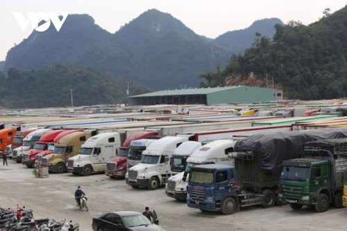 Trao đổi biện pháp thúc đẩy lưu thông hàng hóa qua cửa khẩu biên giới Việt Nam-Trung Quốc - ảnh 1