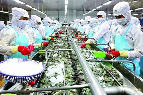 Xuất khẩu tôm của Việt Nam có nhiều tiềm năng, lợi thế - ảnh 1