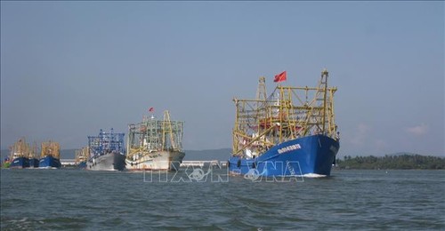 Các nghiệp đoàn nghề cá Quảng Nam rộn ràng ra khơi - ảnh 1