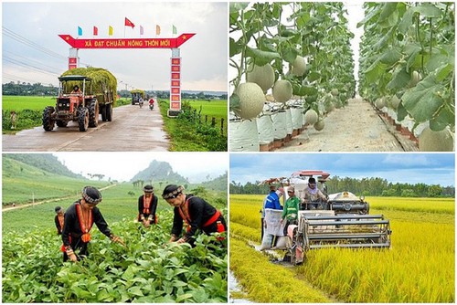 Tăng cường hợp tác quốc tế trong giảm nghèo bền vững tại Việt Nam - ảnh 5