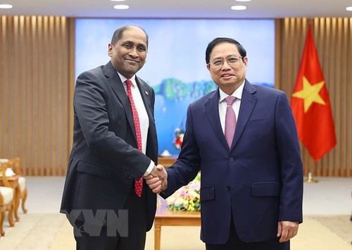 Thủ tướng Phạm Minh Chính tiếp Đại sứ Singapore Jaya Ratnam và Giám đốc điều hành Quỹ Temasek Ng Boon Heong - ảnh 1