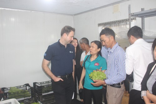 Australia hỗ trợ công nghệ bảo quản rau quả sau thu hoạch chi phí thấp ở Mộc Châu, Sơn La - ảnh 3