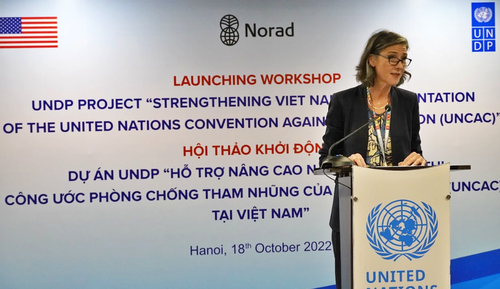  UNDP hỗ trợ Việt Nam nâng cao năng lực phòng, chống tham nhũng  - ảnh 2