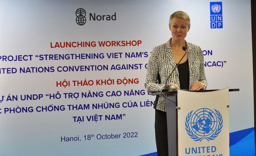  UNDP hỗ trợ Việt Nam nâng cao năng lực phòng, chống tham nhũng  - ảnh 3