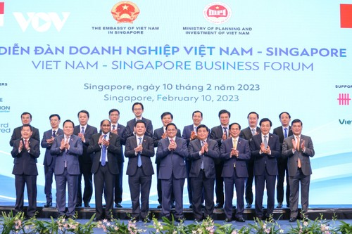 Thủ tướng Phạm Minh Chính dự Diễn đàn doanh nghiệp Việt Nam-Singapore - ảnh 3