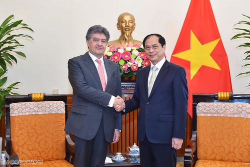 Việt Nam mong muốn phát triển quan hệ hợp tác nhiều mặt với Armenia - ảnh 1