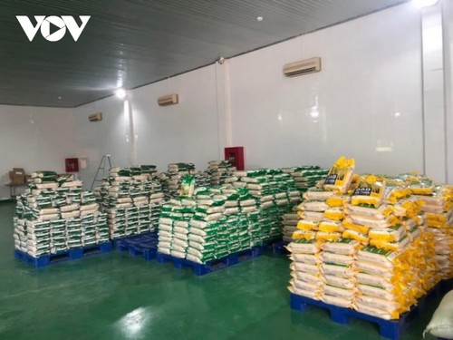 Lần đầu tiên tỉnh Quảng Trị xuất khẩu gạo sang châu Âu - ảnh 1