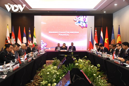 Việt Nam đóng góp nhiều ý kiến quan trọng tại phiên họp Ủy ban AIPA - ảnh 1