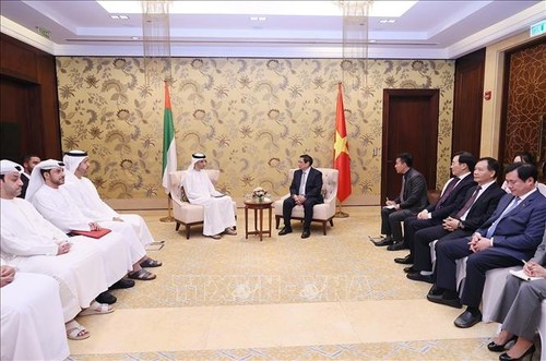 Thủ tướng Phạm Minh Chính tiếp Quốc vụ khanh phụ trách Bộ Kinh tế UAE - ảnh 1
