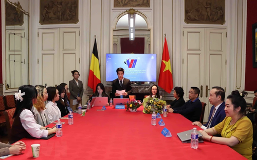 Hội Sinh Viên Việt Nam tại Bỉ gắn kết và phát triển - ảnh 1