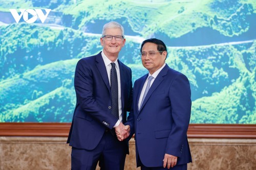 Thủ tướng Phạm Minh Chính tiếp Giám đốc điều hành Tập đoàn Apple, Tim Cook - ảnh 1