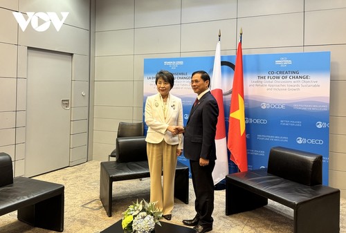 Việt Nam tăng cường hợp tác với Nhật Bản và Australia - ảnh 1