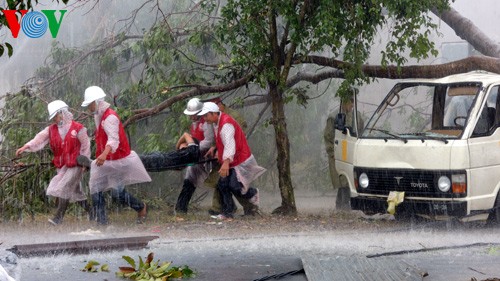 Вьетнам поделился со странами мира опытом в борьбе со стихийными бедствиями  - ảnh 1