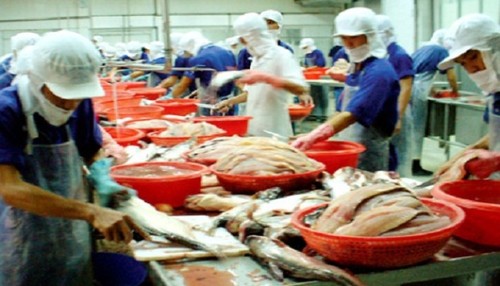 США корректируют ставки импортных пошлин на вьетнамскую рыбу  - ảnh 1