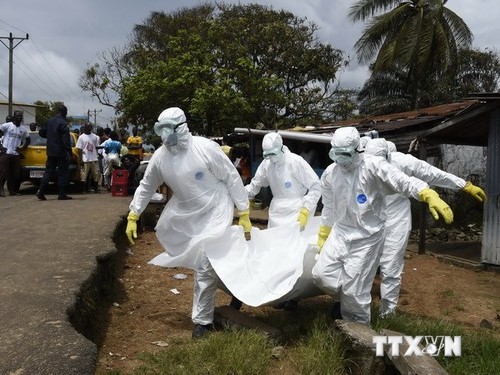 ЕС выделит один млрд евро странам Западной Африки для борьбы с Эболой - ảnh 1