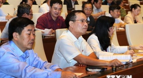 Во Вьетнаме принят проект исправленного закона об исполнении судебных решений по гражданским делам - ảnh 1