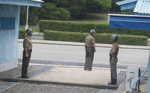 КНДР продолжает критиковать совместные американо-южнокорейские военные учения - ảnh 1