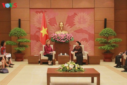 Спикер вьетнамского парламента приняла нового директора представительства ПРООН во Вьетнаме - ảnh 1