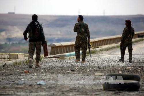 Сирийские районы вдоль западного берега реки Евфрат полностью освобождены от ИГ - ảnh 1