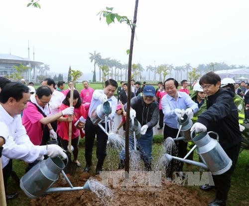 В парке Хоабинь в Ханое высадили 500 новых японских деревьев сакура  - ảnh 1