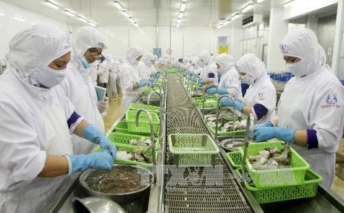 Объём экспорта морепродуктов Вьетнама увеличился почти на 10% - ảnh 1