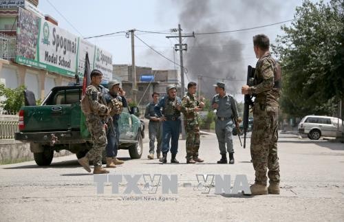 Сотни боевиков ИГ в Афганистане сдались в плен - ảnh 1