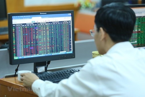 Внутренняя сила - решающий фактор успеха фондового рынка Вьетнама - ảnh 1