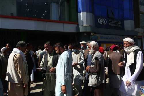 «Талибан» назначил заместителей министров в новом правительстве  - ảnh 1