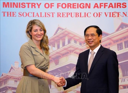 Канада придаёт важное значение расширению отношений с Вьетнамом  - ảnh 1
