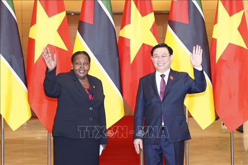 Вьетнам придаёт большое значение развитию отношений с Мозамбиком - ảnh 1