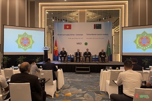 Активизация торгового сотрудничества между Вьетнамом и Туркменистаном  - ảnh 1