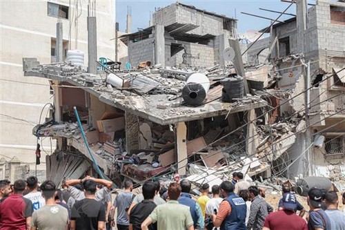Израиль согласился на перемирие в Газе  - ảnh 1