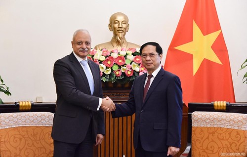 Активизация многогранного сотрудничества между Вьетнамом и Египтом - ảnh 1