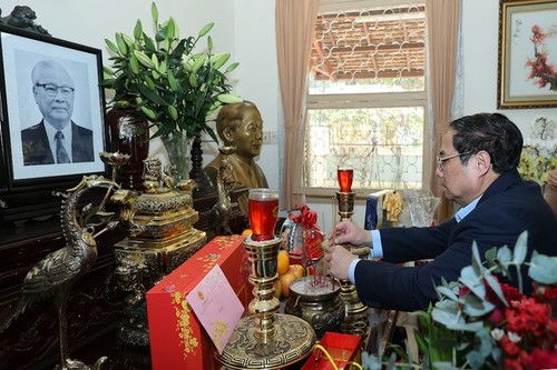 Премьер-минстр Фам Минь Тинь поздравил семьи покойных руководителей правительства в городе Хошимине с наступающим лунным новым годом  - ảnh 3