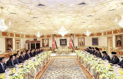 Премьер-министр Фам Минь Тинь провёл переговоры с султаном Брунея Хассаналом Болкиахом - ảnh 1