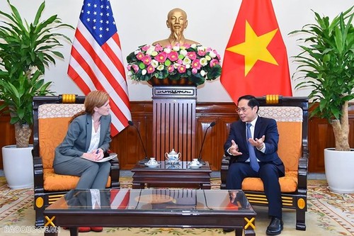 Глава МИД Буй Тхань Шон принял гендиректора агентства США по  международному развитию - ảnh 1