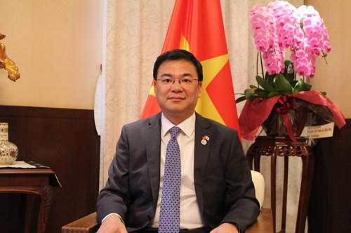 Вьетнам вносит активный вклад в решение региональных и международных вопросов - ảnh 1