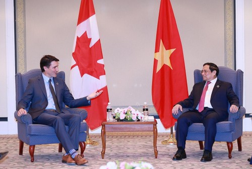 Премьер-министр Фам Минь Тинь провёл встречи с индийским и канадским коллегами, генсеком OECD и президентом Коморских Островов  - ảnh 1