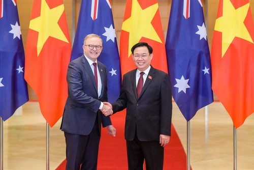 Встреча между председателем Нацсобрания Выонг Динь Хюэ и премьер-министром Австралии Энтони Альбанезе - ảnh 1