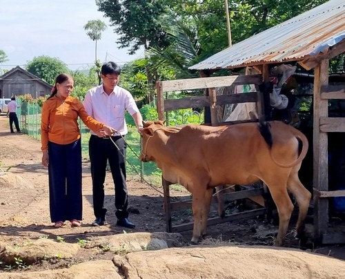 Эффективность реструктуризации растениеводства и животноводства в сочетании с использованием льготных кредитов в общине Кыдрам - ảnh 1