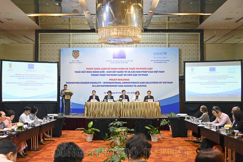 Вьетнам взял на себя твёрдые обязательства по обеспечению гендерного равенства в законотворчестве  - ảnh 1