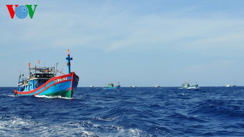 越南国会代表谴责中国船只撞沉越南渔船 - ảnh 1
