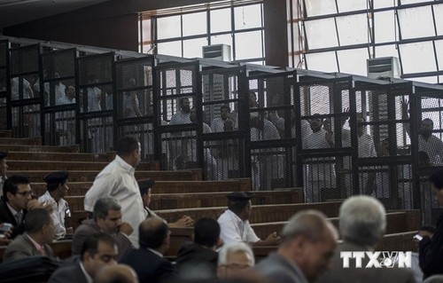 埃及军事法院审判60多名穆斯林兄弟会成员 - ảnh 1